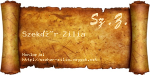 Szekér Zilia névjegykártya